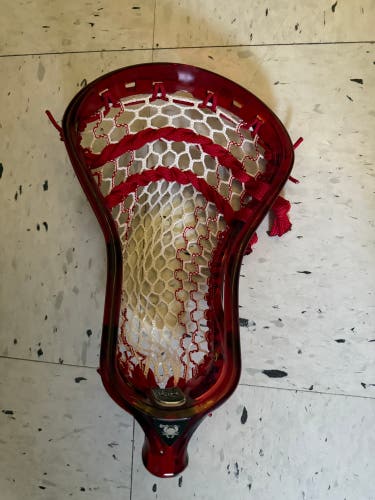 ECD Ion Strung Head (New)