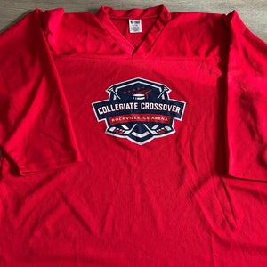 Red Large Men's Troy Lee Designs Jersey (Used)