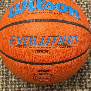 Wilson Evolution Indoor Basketball (28.5/Sz.6)