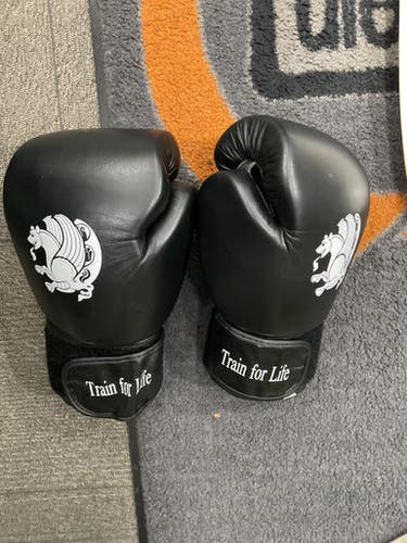 Used TRAIN FOR LIFE Boxing Gloves Black Senior 11614-S000225647