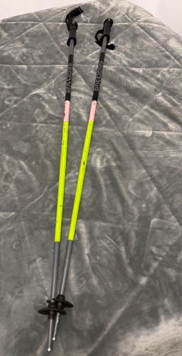 50in (125cm) Rossignol Ski Poles (Used)