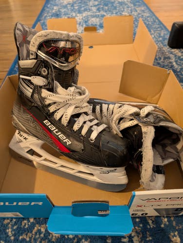 Bauer LTX Pro+ Hockey Skates Regular Width 8 (Used)