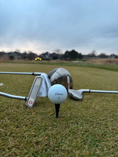 Titleist Pro V1 and Pro V1x Balls 12 Pack (1 Dozen) (Used)