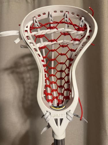 Gait Torque Head (Used)