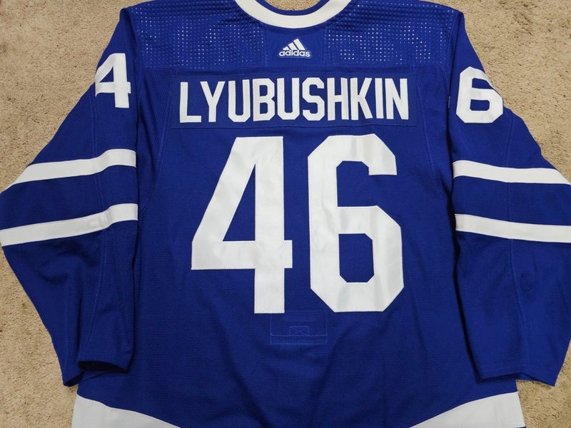 ILYA LYUBUSHKIN 23'24 Toronto Maple Leafs Photomatched Game Worn Hockey Jersey 3