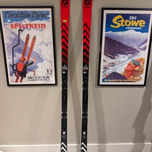 Volkl Racetiger GS 193 cm Racing Skis Without Bindings (Used)