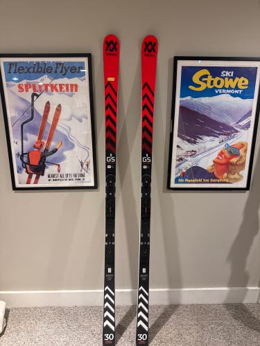 Volkl Racetiger GS 193 cm Racing Skis Without Bindings (Used)