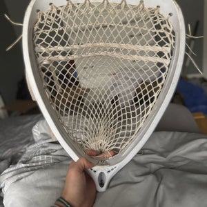 Warrior Strung Head (Used)