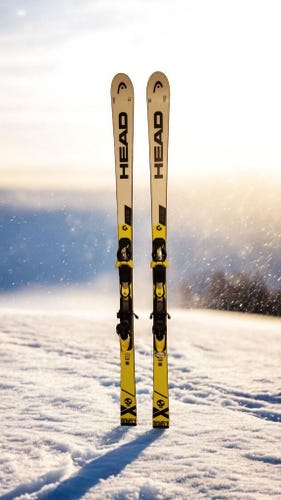 Unisex Racing 173 cm HEAD World Cup Rebels i.GS RD Skis (Used)