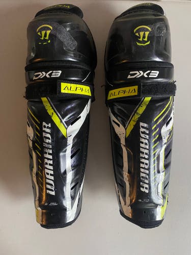 Junior Warrior Alpha DX3 12" Shin Pads (Used)