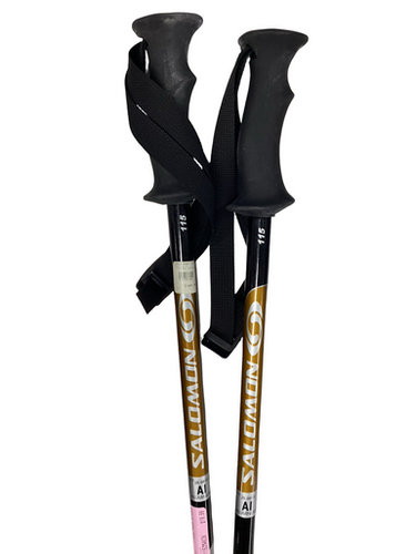 Used Salomon POWER ALUMINUM Mens DH Ski Pole Black 115 cm / 46 in 11613-S000171935