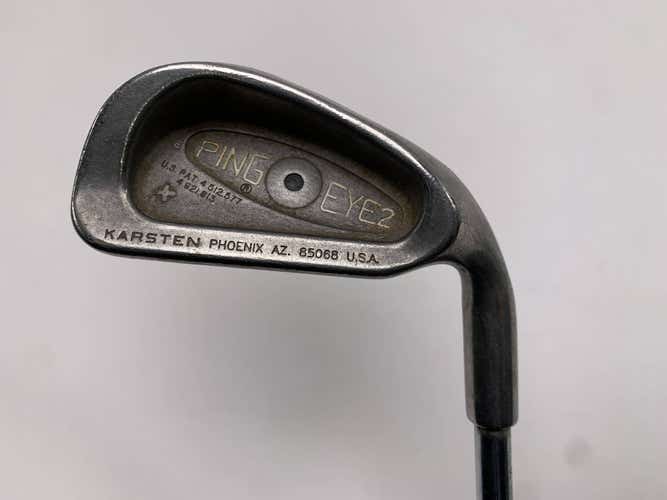 Ping Eye 2 + Single 6 Iron Black Dot True Temper Dynamic Gold Regular RH