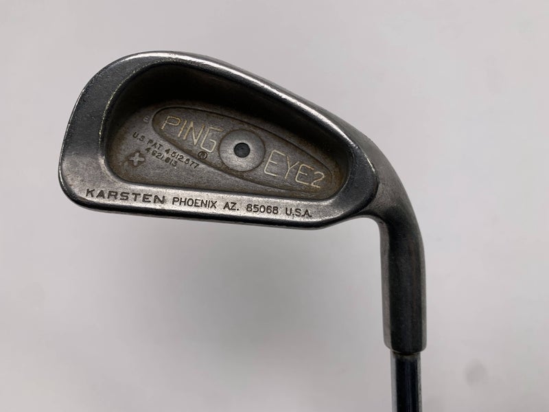 Ping Eye 2 + Single 6 Iron Black Dot True Temper Dynamic Gold Regular RH