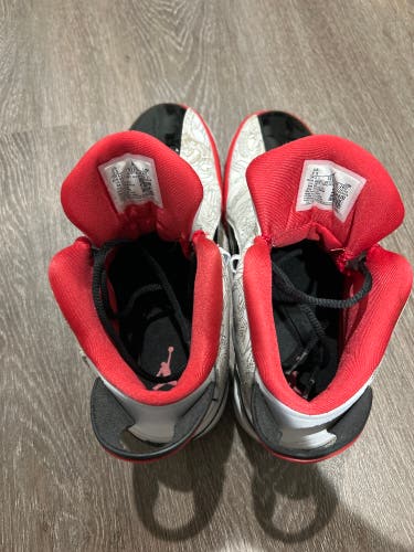 Jordan Shoes (VERY Lightly Used)