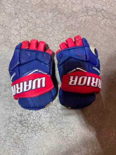 Gloves 11" (Used)
