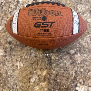 Youth Wilson Football (Used)