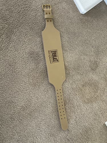 Everlast (Like New)