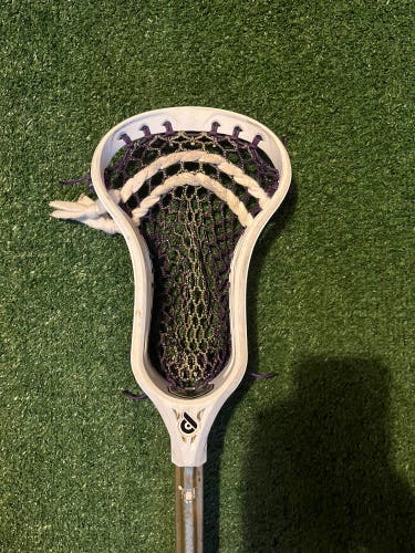 Powell Pioneer 2 Strung Head (Used)