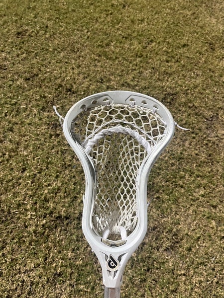 Powell Pioneer Strung Head (Used)