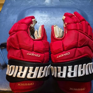 Warrior Gloves 14" (Used)