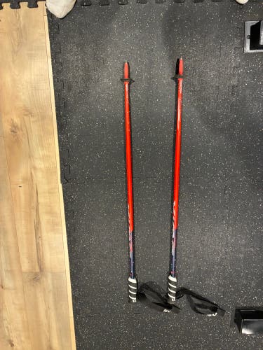 46in (115cm) Swix Racing GS racing Ski Poles (Used)