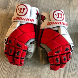 SUNY Plattsburgh Nemesis Pro gloves large