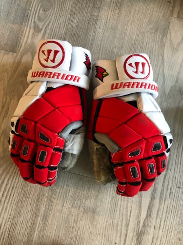 SUNY Plattsburgh Nemesis Pro gloves large