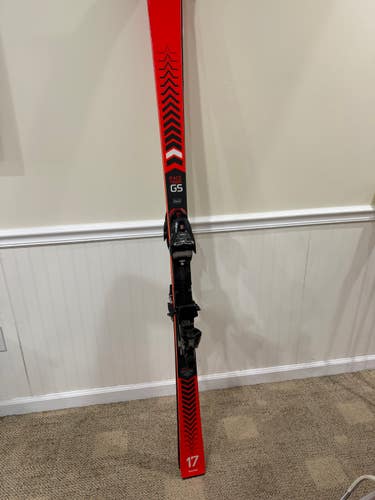 2021 Racing 171 cm Volkl Racetiger GS Skis With Bindings (Used)