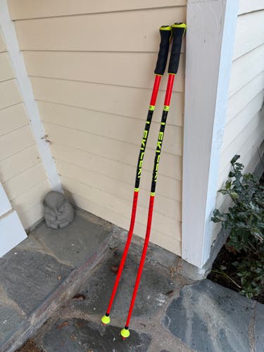 48in (120cm) Leki Racing World Cup Lite GS Ski Poles (Used)