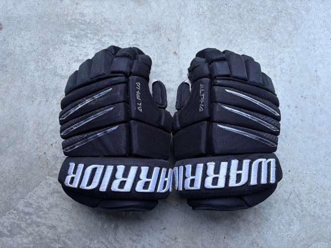 Warrior Alpha Gloves 13" (Used)