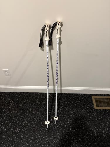 44in (110cm) All Mountain Ski Poles (Used)