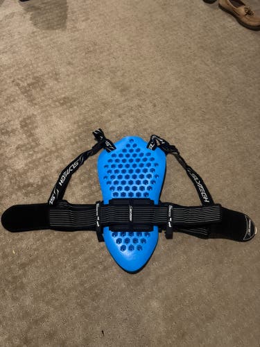 -used- Slytech Backpro XT Naked Back Protector – Size large – Modified Neck Panel – $35-40