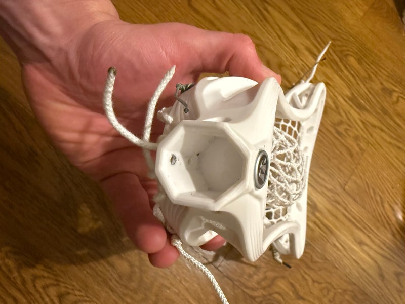 Warrior Formula Head (New)