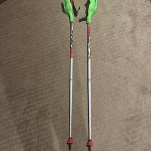 50in (125cm) Fizan SL Racing Ski Poles (Used)
