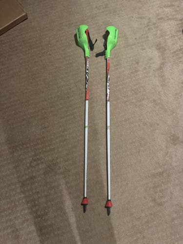 50in (125cm) Fizan SL Racing Ski Poles (Used)