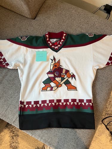 Vintage Arizona Coyotes Kachina Jersey - Youth SM/MD Used Like New