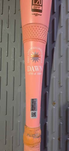 2025 Easton Ghost Advanced Dawn Composite Bat (-10) 22 oz 32" (Used)