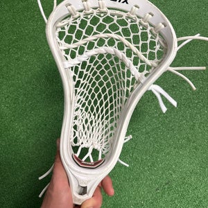 OG STX Stallion Head (Used)