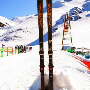 Dynastar 193 cm Racing Speed WC FIS GS Skis With Bindings Max Din 15 (Used)