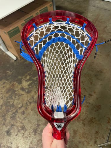 ECD Custom Strung Ion