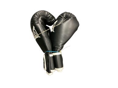 Used Everlast Boxing Gloves Black MD 11846-S000096963