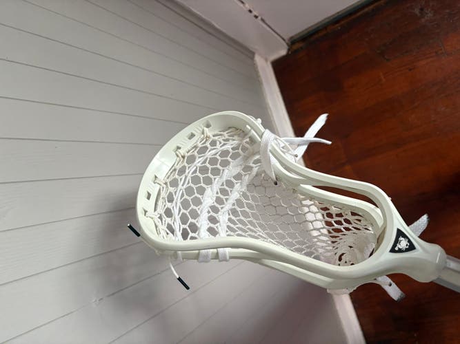 ECD DNA 2.0 Head (New)