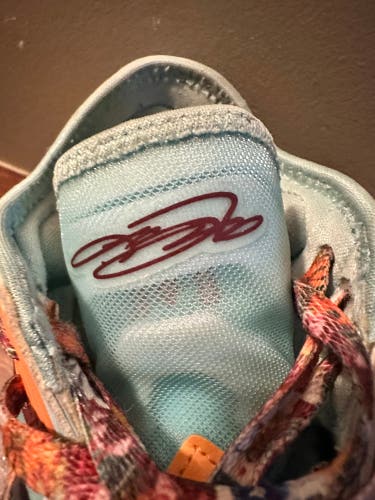 Men's Size M 10.0 (W 11.0) Nike lebron 18 Shoes (Used)