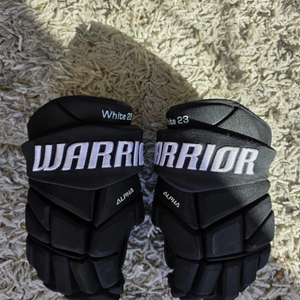 Warrior Alpha Pro Gloves 14" Pro Stock (Used) Columbus River Dragons