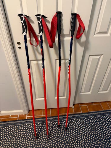Swix World Cup Racing Poles 48in (120cm) GS & SL