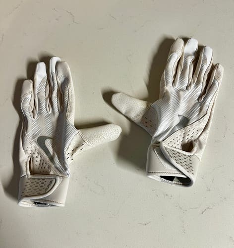 Batting Gloves (Used)