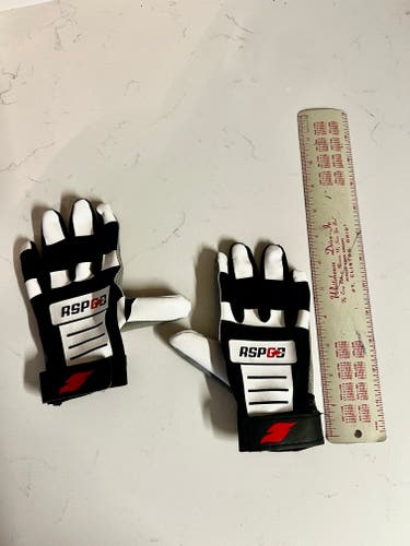 Batting Gloves (Used)