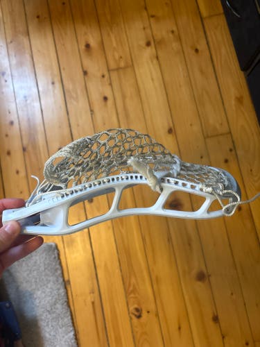 Professionally Strung StringKing Mark 2V Head (Used)