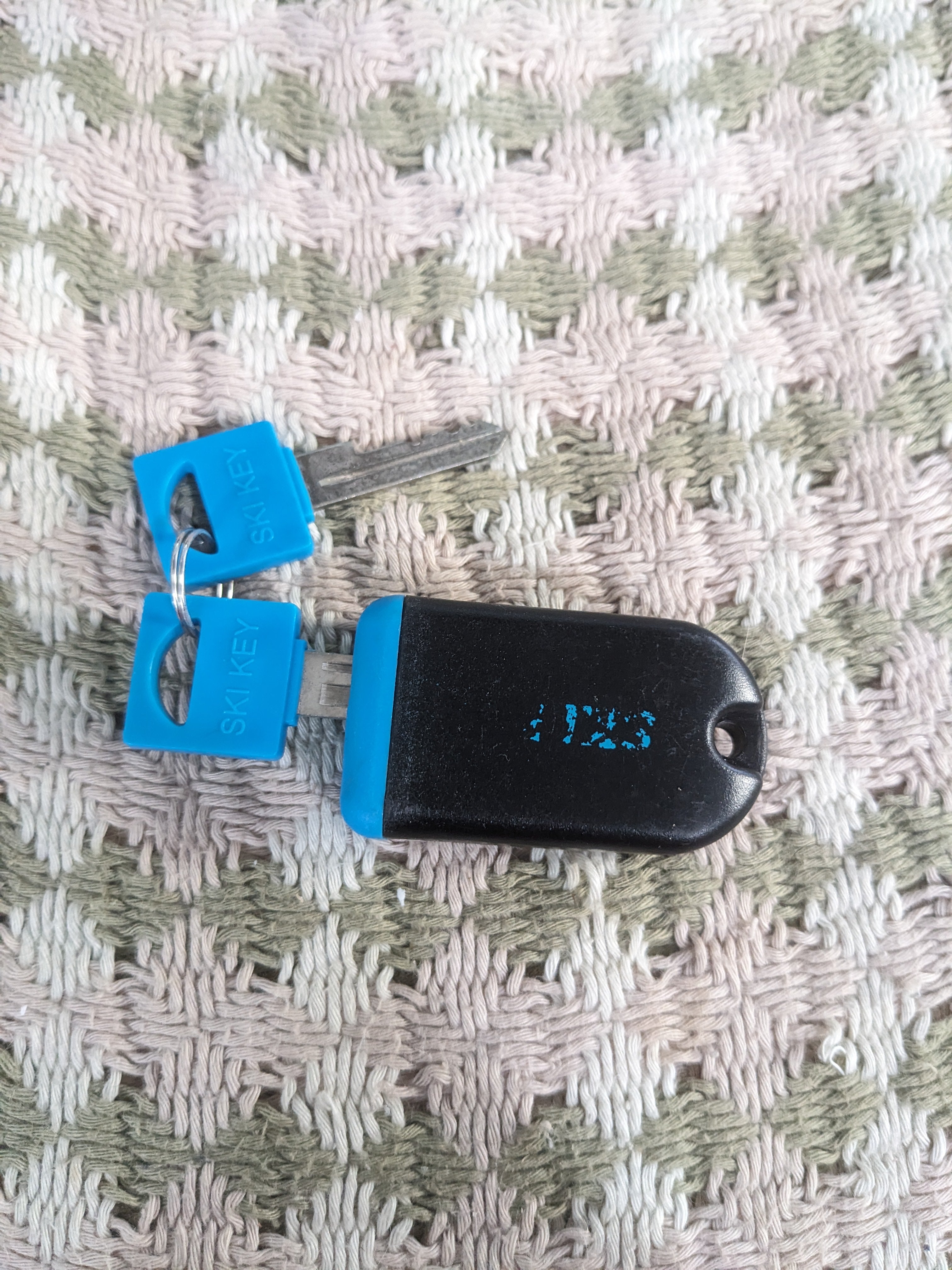 Carv Digital Ski Coach | SidelineSwap | Buy and Sell on SidelineSwap