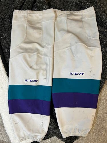 Orlando Solar Bears Purple and Teal Hockey Socks, Pro Stock, XL